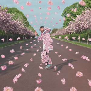 苏畅在线观看免费版最新章节
