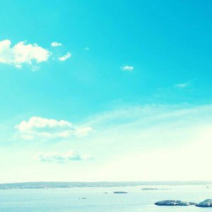 苏畅在线观看免费版最新章节
