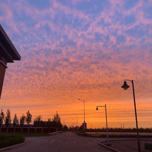 苏畅在线观看免费版最新章节
